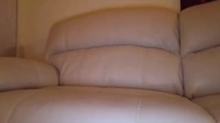 Shemale com tesão que deseja desfrutar de seu pênis em casa