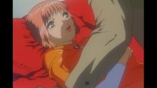 Verifique a sua idade