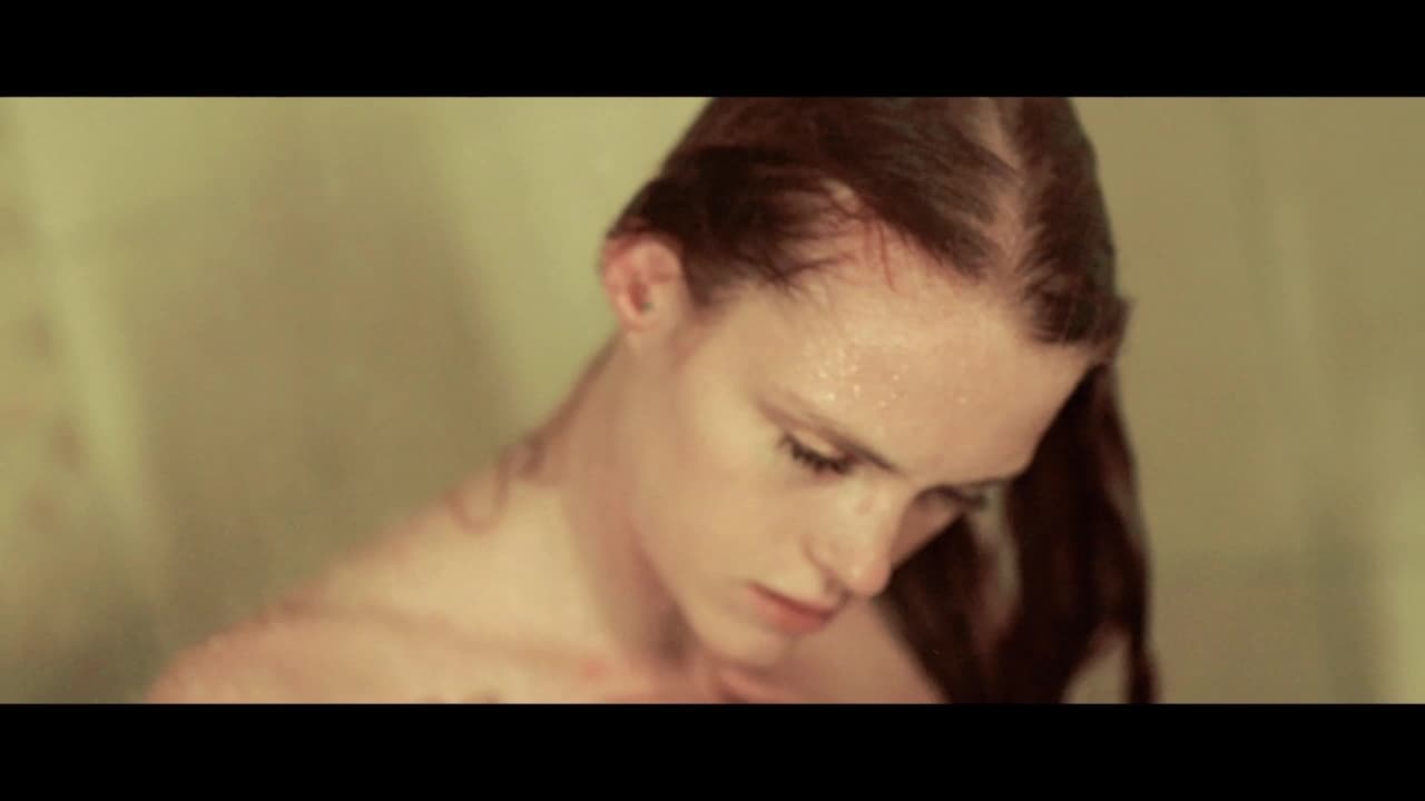 Verifique a sua idade