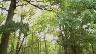 Verifique a sua idade