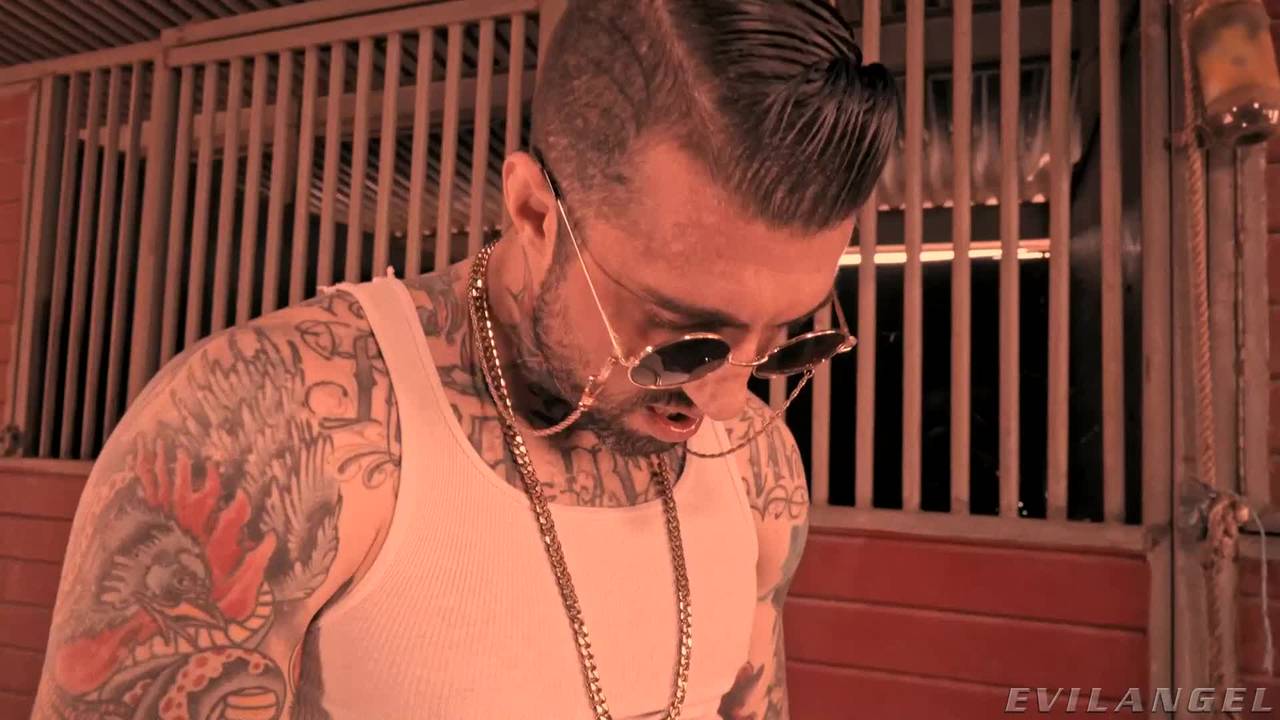 Verifique a sua idade