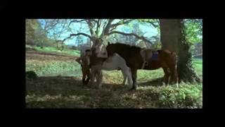 Verifique a sua idade