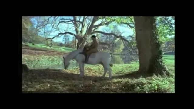 Verifique a sua idade