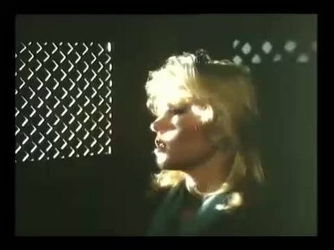 Verifique a sua idade