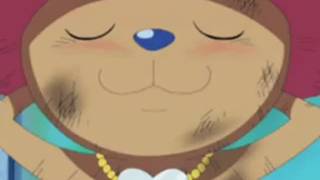 Verifique a sua idade