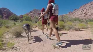 Loira e morena fazem sexo a três com guia turístico Loira e morena fazem sexo a três com guia turístico