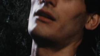 Verifique a sua idade