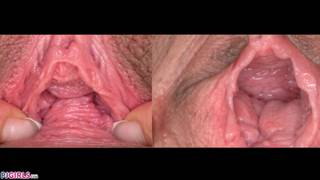 Nicole Love e Tiny Tina brincam com suas bucetas