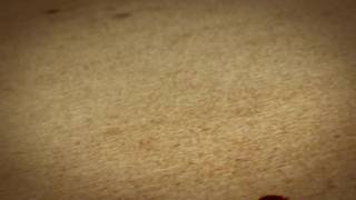 Verifique a sua idade