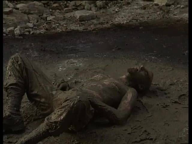 Verifique a sua idade