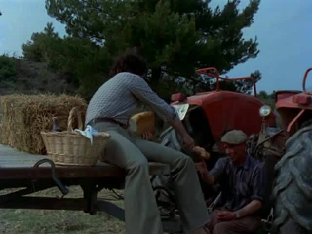 Verifique a sua idade