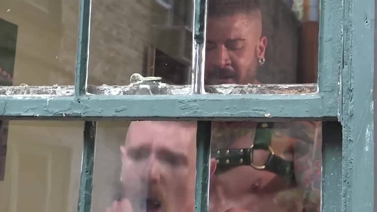 Verifique a sua idade