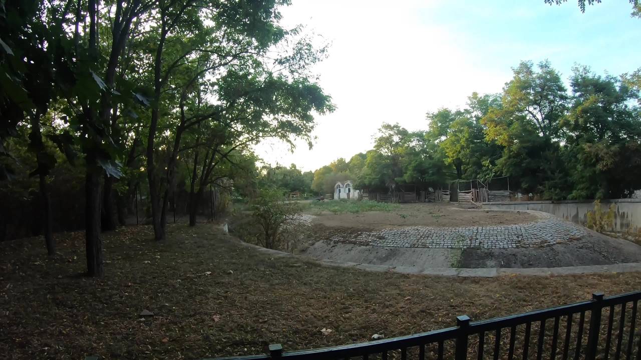 Verifique a sua idade