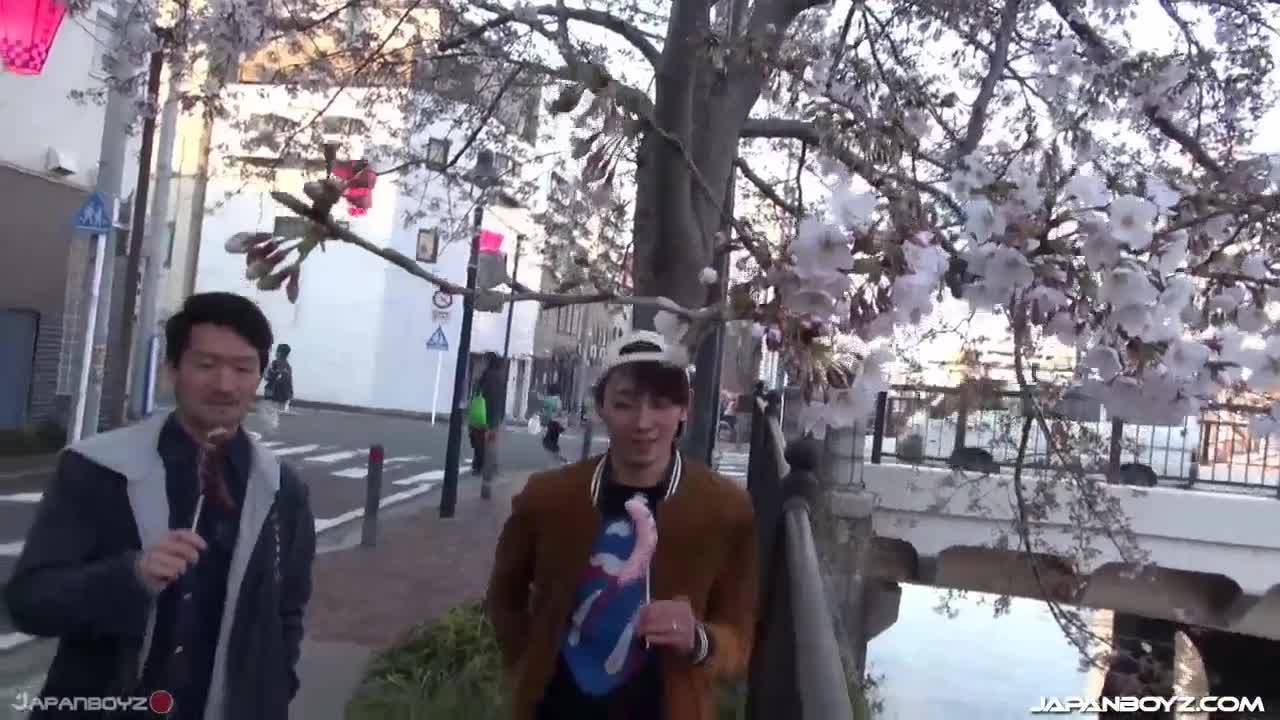 Verifique a sua idade