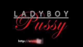 Um ladyboy sexy tem sua nova buceta cheia de pênis Um ladyboy sexy tem sua nova buceta cheia de pênis