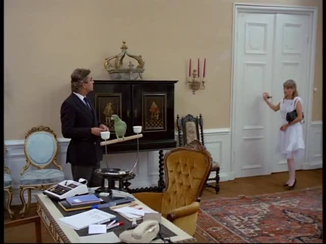 Verifique a sua idade