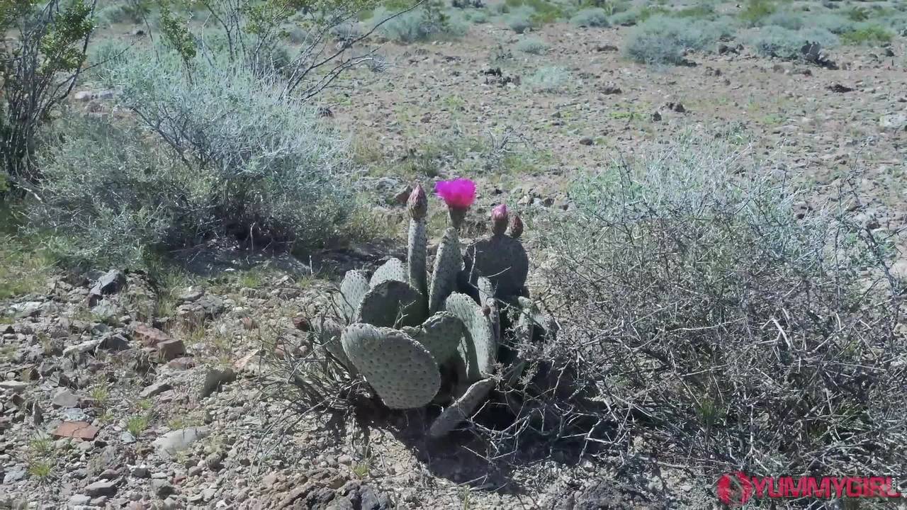 Verifique a sua idade