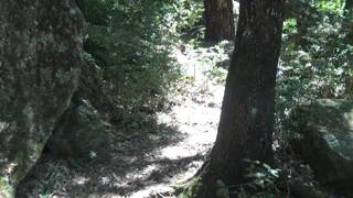 Verifique a sua idade