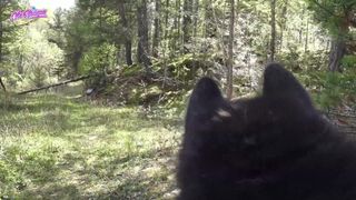 Verifique a sua idade