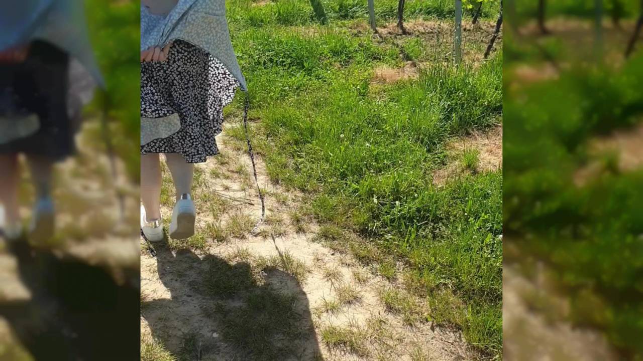 Verifique a sua idade