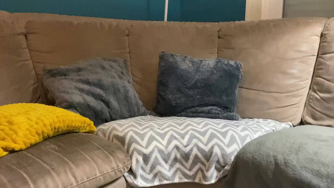 Verifique a sua idade