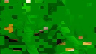 Verifique a sua idade