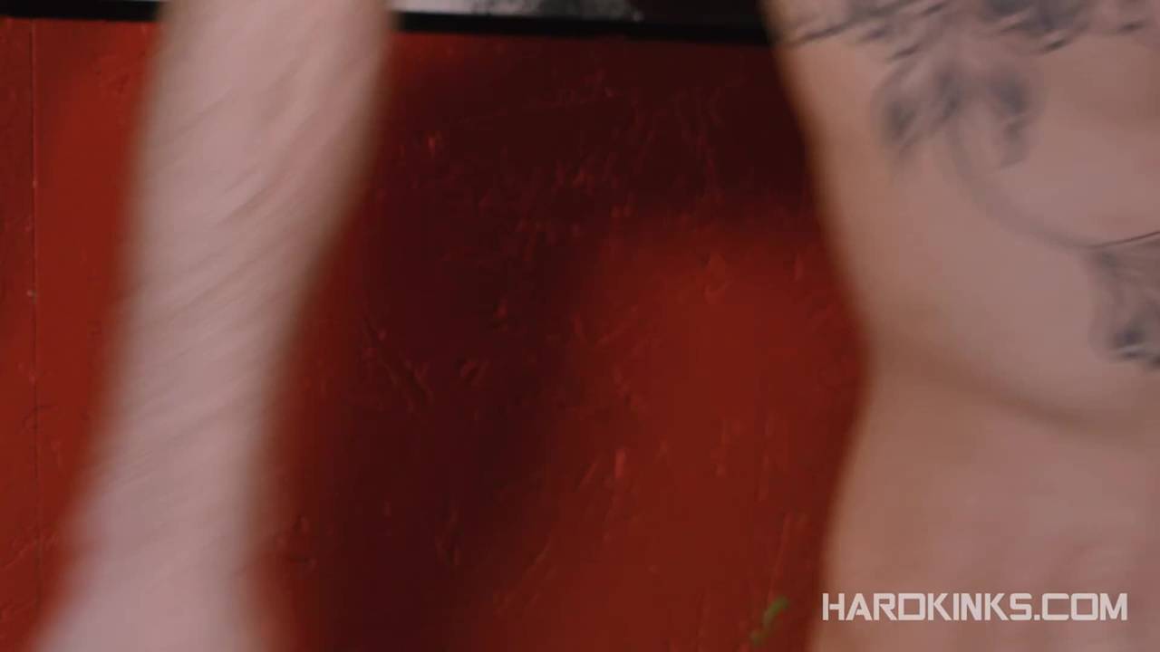 Verifique a sua idade