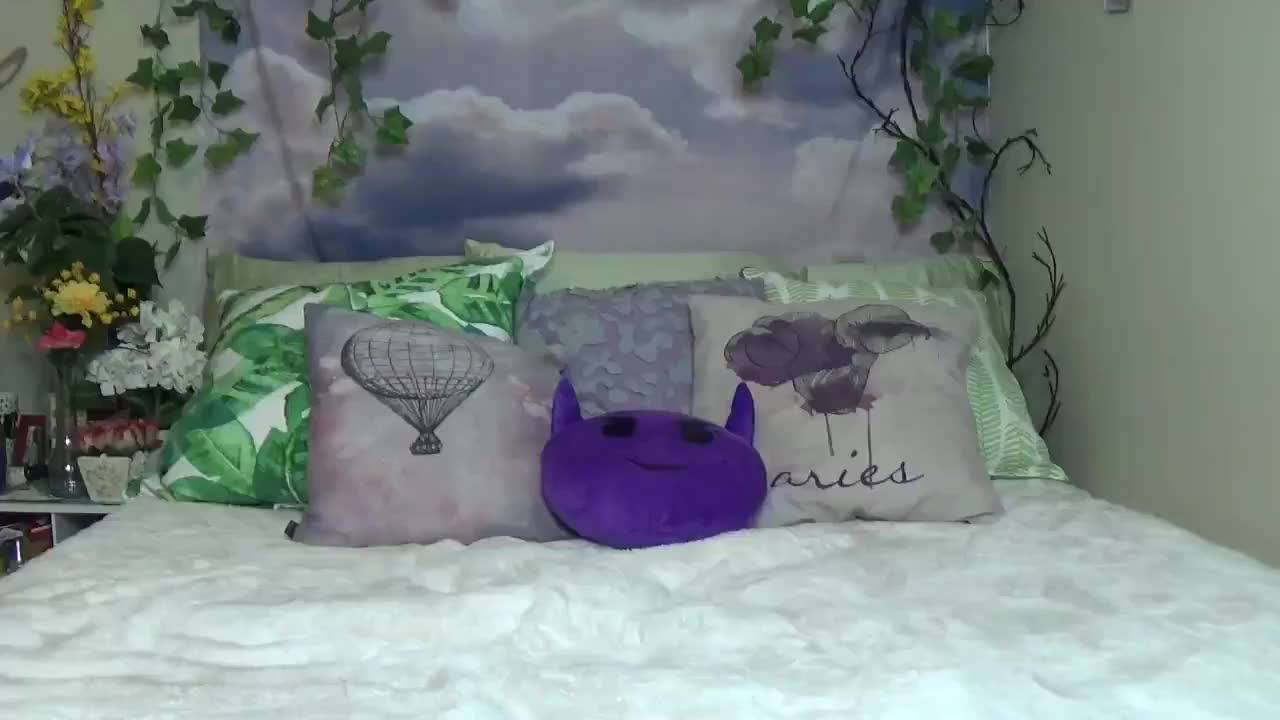 Verifique a sua idade