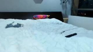 Verifique a sua idade