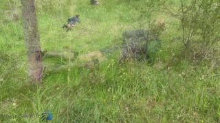 Verifique a sua idade