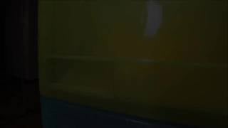 Verifique a sua idade