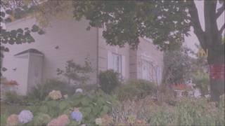 Verifique a sua idade