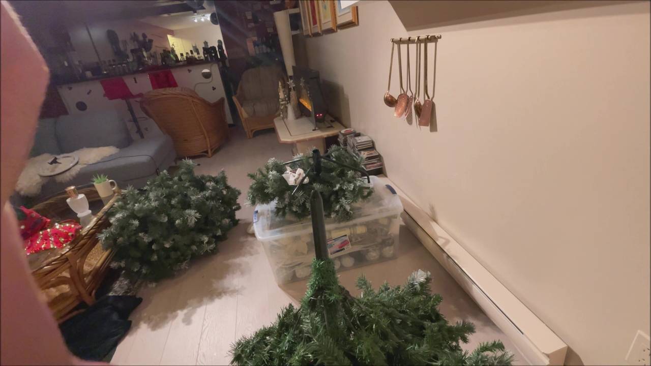 Verifique a sua idade