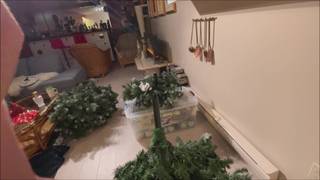 Verifique a sua idade