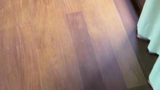 Verifique a sua idade