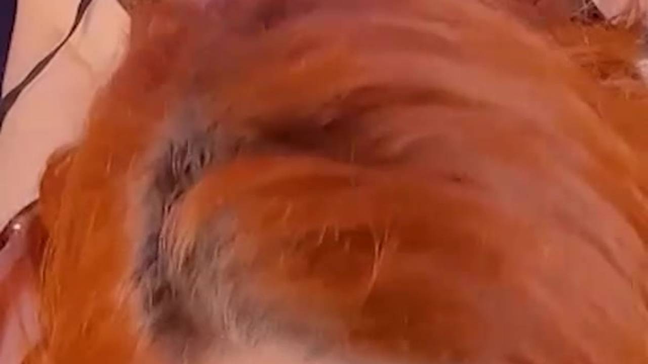 Verifique a sua idade