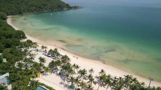 Verifique a sua idade