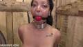 Sexo BDSM com Thiccy Niccy em um celeiro