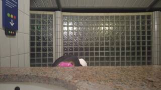 Em qualquer banheiro público esta francesa se grava se masturbando